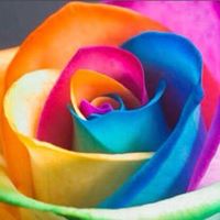 Laura Krause Photo 28