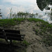 Alice Banks Photo 6