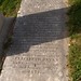 Elizabeth Bryan Photo 11
