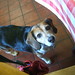 John Irwin Photo 43