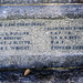 Leslie Wright Photo 18