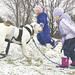 Mary Boese Photo 9