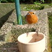 Robin May Photo 44