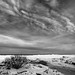 Lisa Webster Photo 19