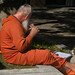 Guy Farmer Photo 26