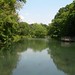 Barbara Johnson Photo 31