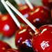 Candy Apple Photo 5