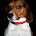 Larry Ham Photo 21