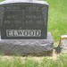 Susan Elwood Photo 25