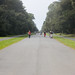 Anne Park Photo 24