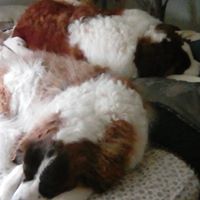 Vicki Hinton Photo 9