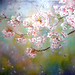 Lai Yu Photo 12