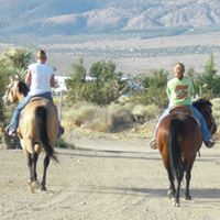 Debbie Lane Photo 43