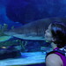Suzanne Shark Photo 6