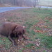 Kelly Trapp Photo 19