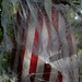 Charlotte Blanton Photo 3