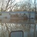 Diane Flood Photo 12