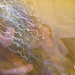 Julia Gough Photo 18