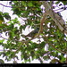 Bruce Green Photo 15
