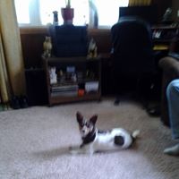 Debra Beal Photo 22