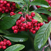 Allen Berry Photo 45