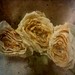 Rosa Hernandez Photo 28