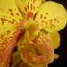 Mary Motes Photo 18