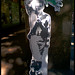 Ronnie Pope Photo 8