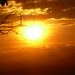 William Bonilla Photo 33
