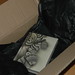 Robert Bean Photo 7