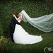 Beverly Sullivan Photo 32