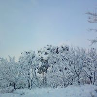 Jean Choi Photo 13
