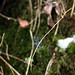 Jan Suggs Photo 7