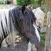 Dean Meadows Photo 20