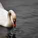 Mark Hessian Photo 9