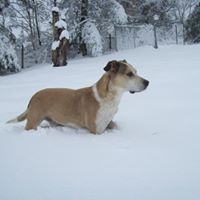Kathy Meadows Photo 21