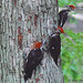Phyllis Bridges Photo 9