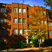 George Nicholson Photo 41