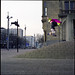 Robert Koens Photo 12