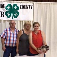 Kathy Haugen Photo 15