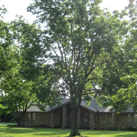Bob Thorne Photo 17