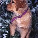 Robert Deller Photo 29