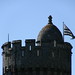 Philippe Martineau Photo 8