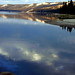 Louis Parker Photo 36