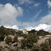 Roman Manzanares Photo 14