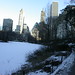 Janet York Photo 29