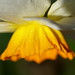 Christina Leonard Photo 16