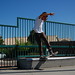 Robert Gonzales Photo 46