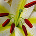 Margaret Long Photo 21