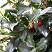 Janice White Photo 19